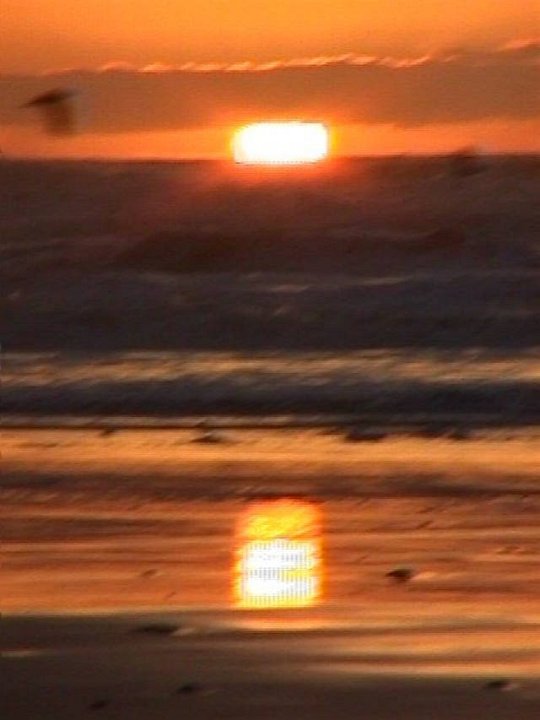 009-007f