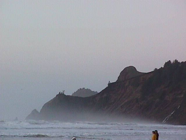 009-019f