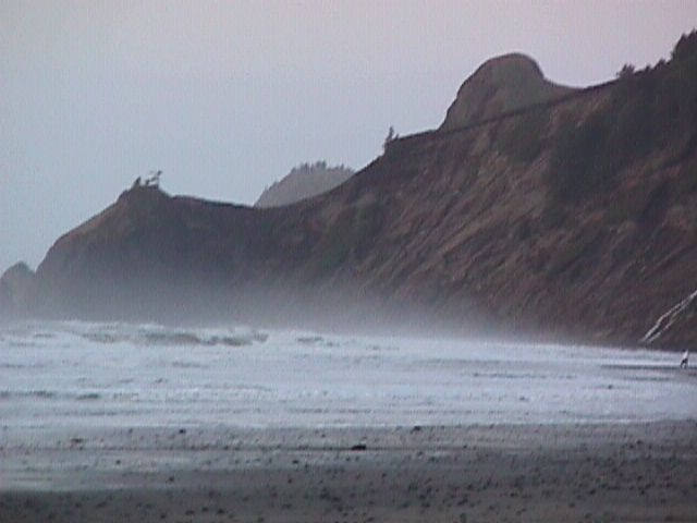 009-020f