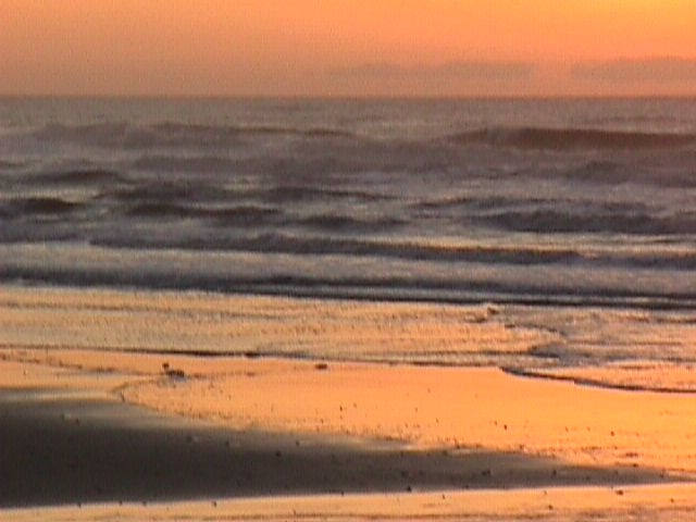 009-023f