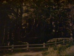 003-007f.jpg