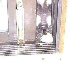 004-017f.jpg