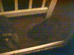 004-024f.jpg