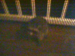 004-025f.jpg