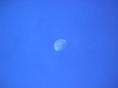 005-012f.jpg