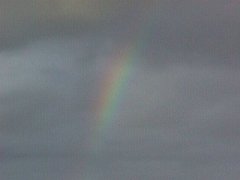 005-014f.jpg
