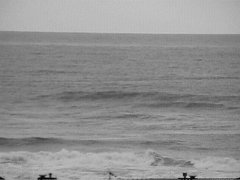 005-019f.jpg