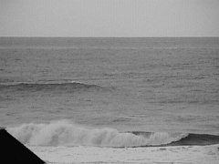 Lincoln City