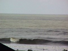 005-024f.jpg