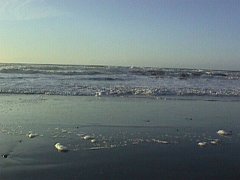 007-020f.jpg