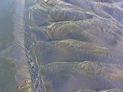 007-025f.jpg