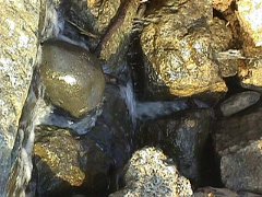 008-006f.jpg