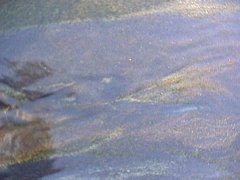 008-011f.jpg