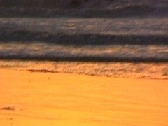 009-014f.jpg