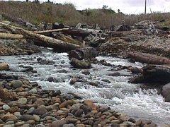 009-029f.jpg