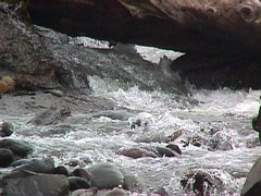 009-030f.jpg
