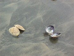 011-117f.jpg