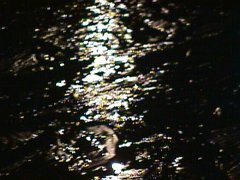 012-132f.jpg