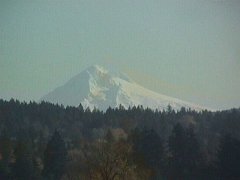 0121-05f.jpg