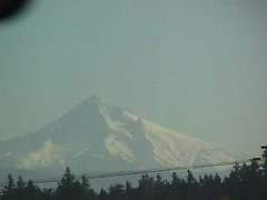 0121-08f.jpg