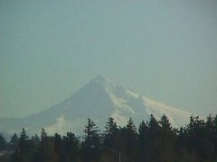 0121-09f.jpg