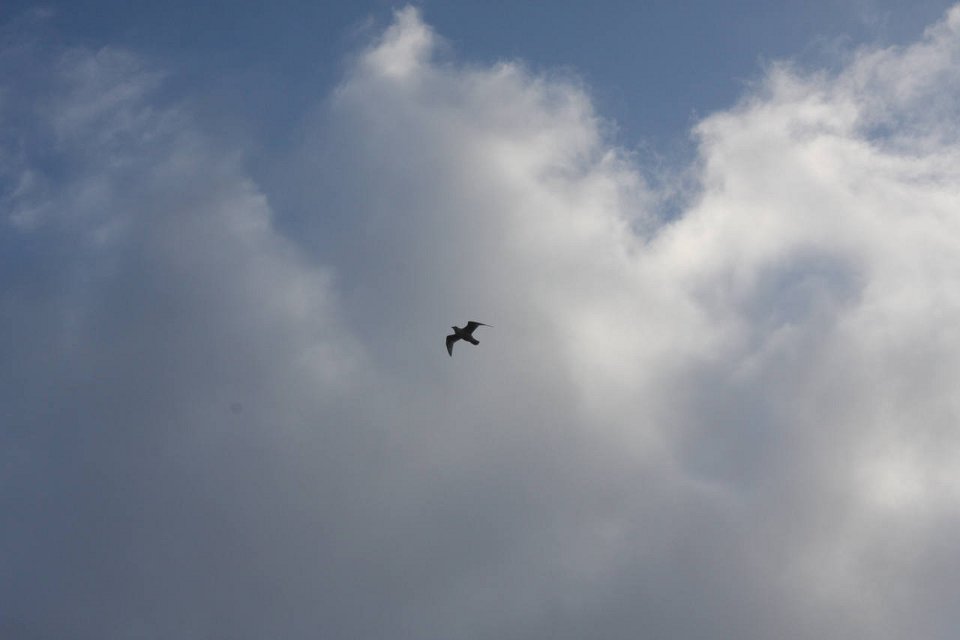IMG 0915