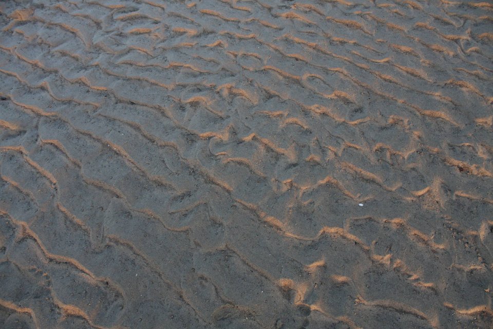 IMG 1120