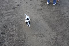 IMG 0883