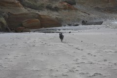 IMG 0885