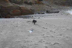 IMG 0886