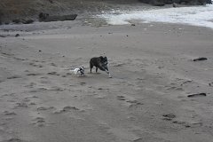 IMG 0887