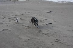 IMG 0888
