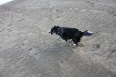 IMG 0890