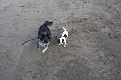 IMG 0891