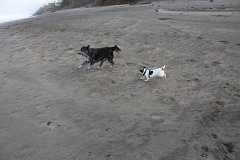 IMG 0892