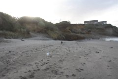 IMG 0894