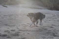 IMG 0896