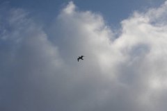 IMG 0915