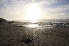 IMG 0920