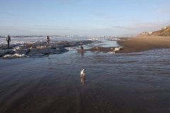 IMG 0923
