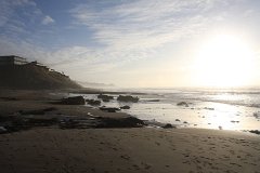 IMG 0925