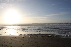 IMG 0926