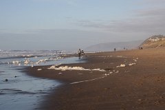 IMG 0933