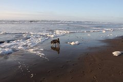 IMG 0939