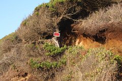 IMG 0946