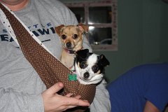 IMG 0959