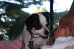 IMG 0961