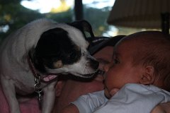 IMG 0963