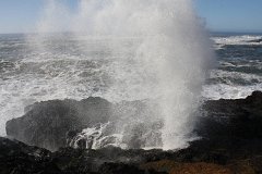 IMG 1074
