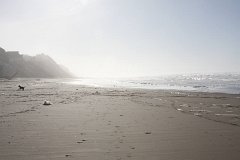 Lincoln City (2009)